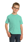 Port & Company® Youth Beach Wash® Garment-Dyed Tee. PC099Y