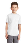 Port & Company® Youth Performance Blend Tee. PC381Y