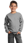 Port & Company® - Youth Core Fleece Crewneck Sweatshirt.  PC90Y